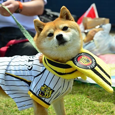 zeny_ceny's profile picture. #百折不撓
#気力一瞬