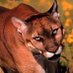 DHS BIOLOGY DPT (@missdeedhs) Twitter profile photo DHS BIOLOGY DPT (@missdeedhs) Twitter profile photo