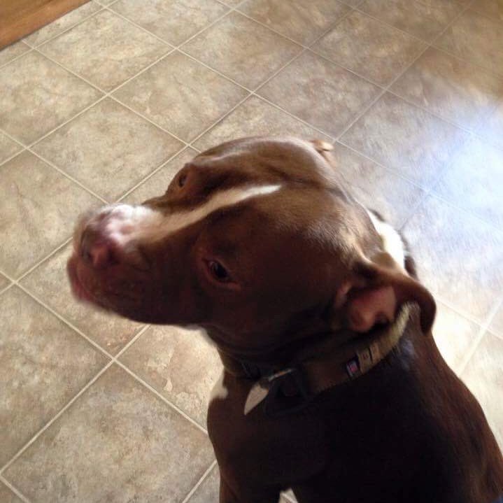 wallac_patch's profile picture. Am patch and am 50 years