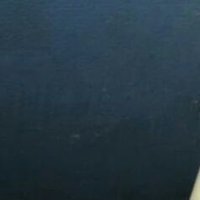 Pedrito (@brou) 's Twitter Profile