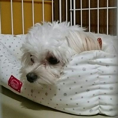 こっこさんのプロフィール画像