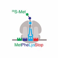 Green Lab (@greenlabjhmi) 's Twitter Profile Photo Green Lab (@greenlabjhmi) 's Twitter Profile Photo
