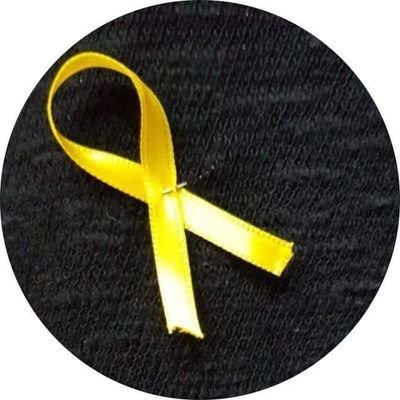 BalaguerMerce's profile picture. 