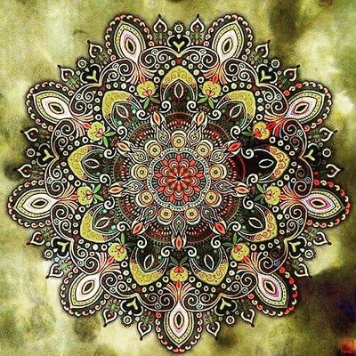 RBidjamov's profile picture. 