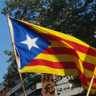 Una ciutadana més de Catalunya, desitjo un pais lliure, democràtic i just amb tothom.