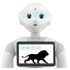 The Robocup LyonTech is a robocup@home Team, consortium from CPE Lyon, Insa de Lyon, CITI LAb. LIRIS, Inria Chroma, CNRS