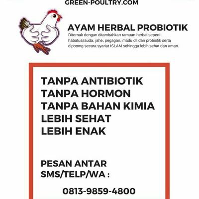 Ayam herbal probiotik...tertarik?? mau?? via wa atau telfon 081212358566