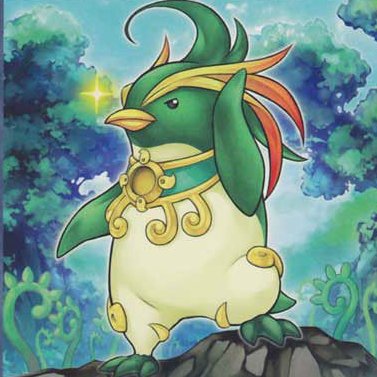 BMSDDT's profile picture. 