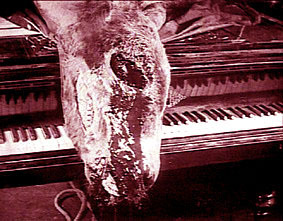 derealization's profile picture. 