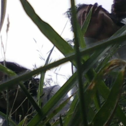 AngelMonVa's profile picture. 15 años y ya