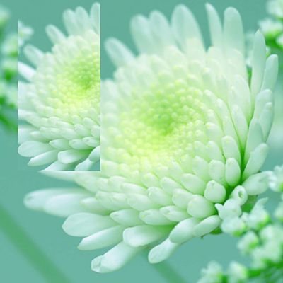 BudyJun's profile picture. 