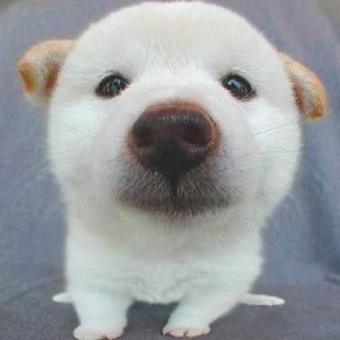 newkingfisher's profile picture. 身体健康，灵魂自由