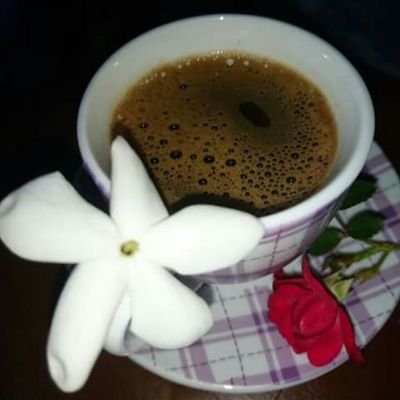 m8UkggOO6GdpguC's profile picture. 