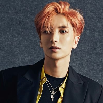 AngeLeeteuk1004's profile picture. SUPER JUNIOR IS BACK👊