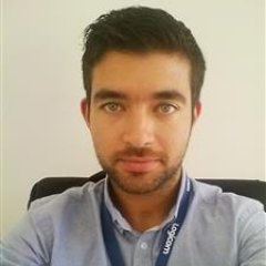 steliouix's profile picture. Web Developer