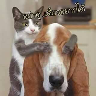 simcard2129's profile picture. 