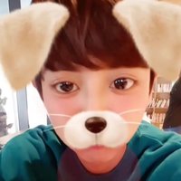 pup pcy! *·˚ ༘♡(@pupyeolmae) 's Twitter Profileg