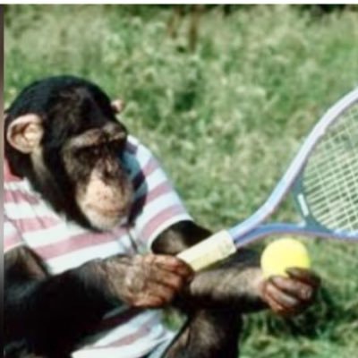 Hello - we are Monkey Tennis. An indie funky pop band from Essex/ London here at your service!!!!!