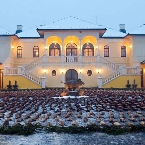 Live the values of the centuries-old, traditional Hungarian hunt. We deliver exclusive wing shooting and big game hunting experiences at our hunting estate.