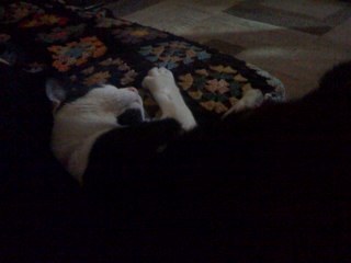 janpeanut's profile picture. 42 38 41