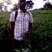 ASIIMWE ALBERT (@albert_asiimwe) Twitter profile photo ASIIMWE ALBERT (@albert_asiimwe) Twitter profile photo