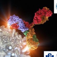 CancerVaccines (@ic2_vs) 's Twitter Profile Photo CancerVaccines (@ic2_vs) 's Twitter Profile Photo
