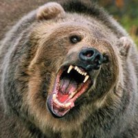 Профсоюз свободных инженеров (@brainstorming63) 's Twitter Profile