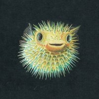 caspianseamonster (@c4spi4nse4monst) 's Twitter Profile