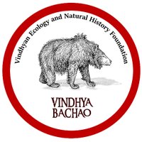 Vindhyan Ecology & Natural History Foundation(@vindhyabachao) 's Twitter Profile Photo