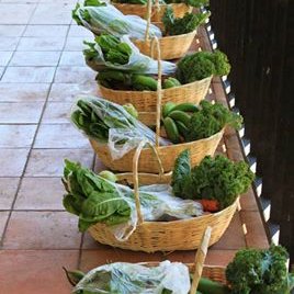 Mano a Mano y convivium Mano a Mano, Comprometid@s con la promoción y defensa de la alimentación y la agricultura sana limpia justa y soberana