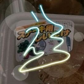 激ソ・ボーロさんのプロフィール画像