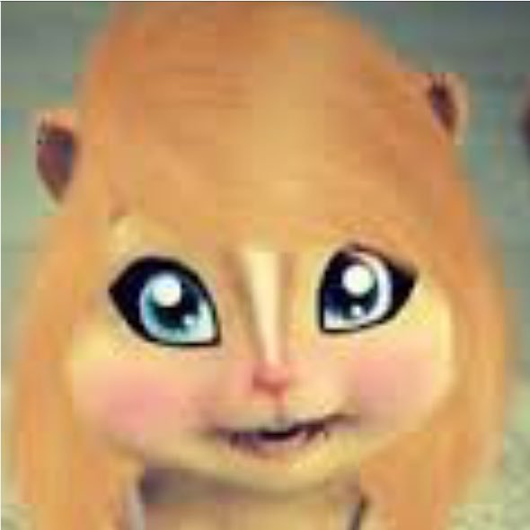 ❤️The name's Kate I'm a girl chipmunk who loves her family and friends. I like to sing and having fun. 💖Sassy💖