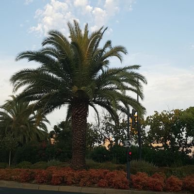 BrendaFvre's profile picture. 