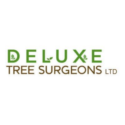 All aspects of arboriculture undertaken in the North East of England. Need a quote? Call the experts at Deluxe Tree Surgeons Ltd: 0800 292 7293.
