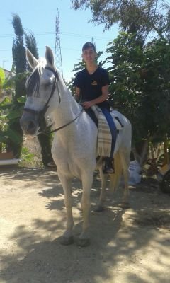 Fútbol y los caballos