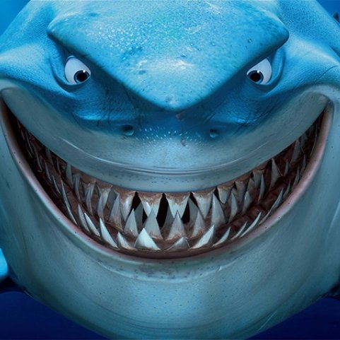 LandSharkUK Profile Picture