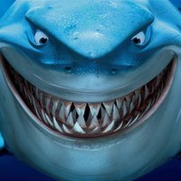 Land Shark (@landsharkuk) 's Twitter Profile Photo