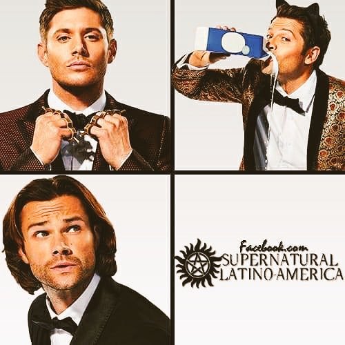 latino_spn's profile picture. una de las mejores series de la historia