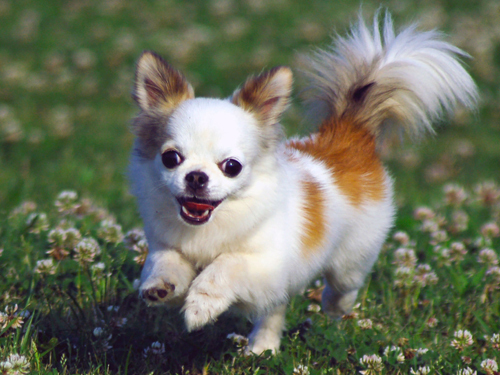 keijixkeiji's profile picture. なんとなく始めました。最近じゃ日記がわりです。