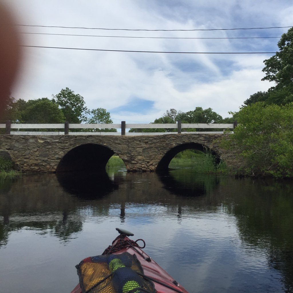 Husband, amateur kayaking enthusiast, Enrolled Agent (EA), Fellow of the National Tax Practice Institute (NTPI) and President of David Fazio E.A., Inc.