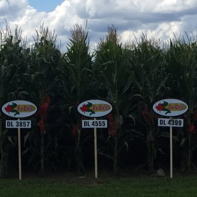 Corn, corn, corn (De Dell of course), funny farm, and family...not necessarily in that order!