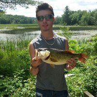 arcfox (@domhunt3) Twitter profile photo