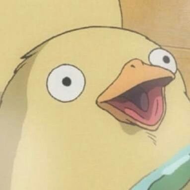 nissy_nessy's profile picture. 聖光53/ｿﾌｨﾔ機創/SPO/ﾅﾌﾞﾃｽｺ/器用貧乏/山口と岡山のhalf