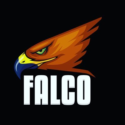 FalcoBruh Profile Picture