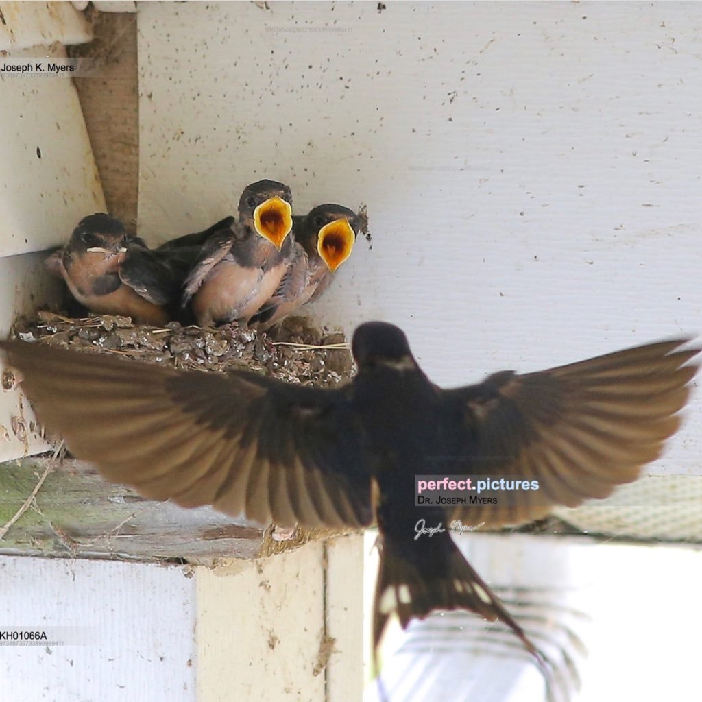 blessingtoday's profile picture. 🎵"Make me a blessing, O Savior, I pray, Make me a blessing to someone today!" Psalms 34:3 O magnify the LORD with me, and let us exalt His name together.