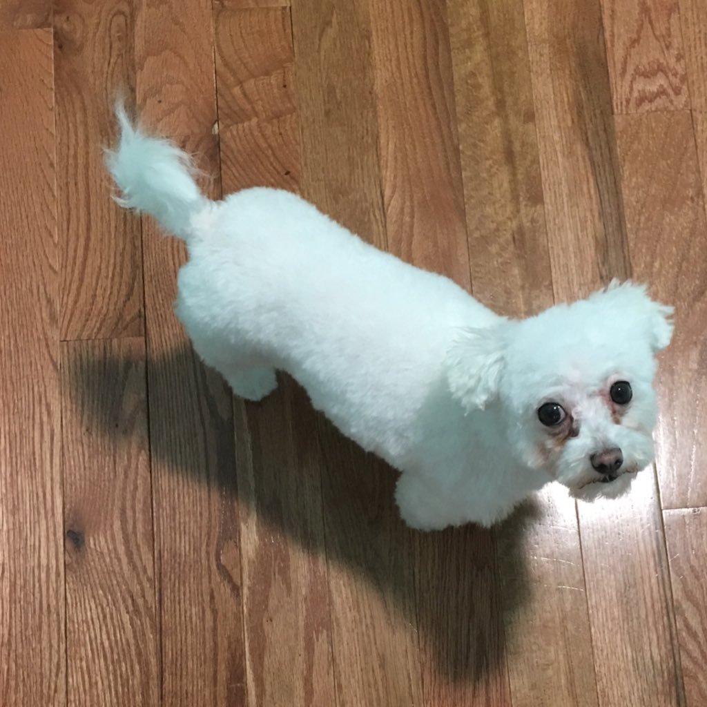 lara21mty's profile picture. 