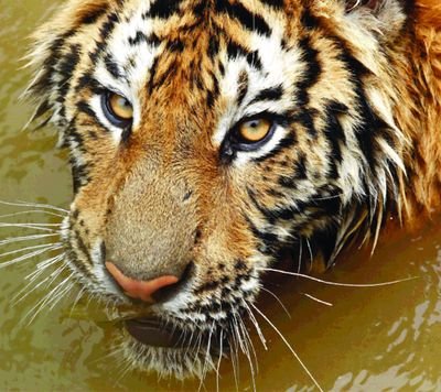 Gustavo05152526's profile picture. 