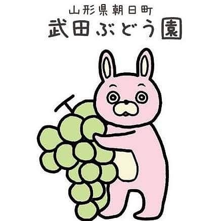 takedagrapefarm's profile picture. 山形県朝日町の柏原ヴィンヤード内にある葡萄園です。 シャインマスカット、クイーンニーナ、マイハート、パープルハート®、バイオレットキング、富士の輝き等