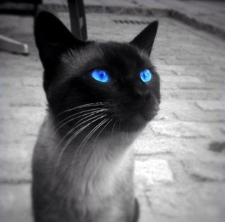 roland_808's profile picture. 