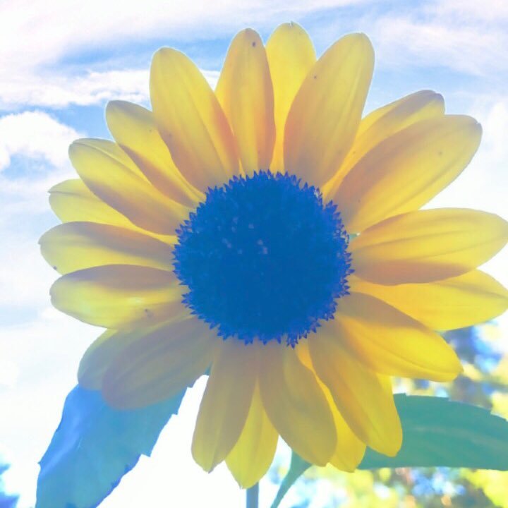 ashley_mcmahan1's profile picture. 